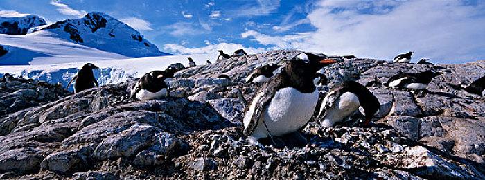 前《使命召唤》制作人忧心系列在微软旗下的未来表现