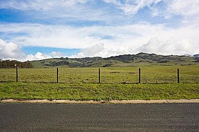 大量剧情泄露！《咚奇刚：蕉力全开》现已偷跑