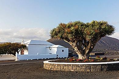 《多洛可小镇》Steam试玩发布 国产小清新经营模拟